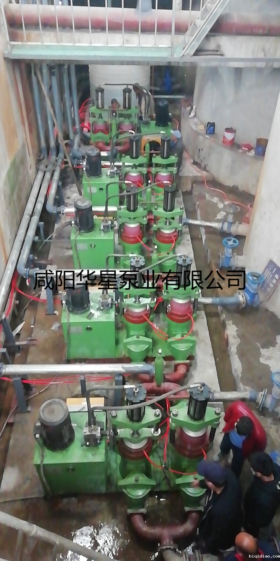 湖北玉鑫-图片水印 湖北玉鑫-图片水印